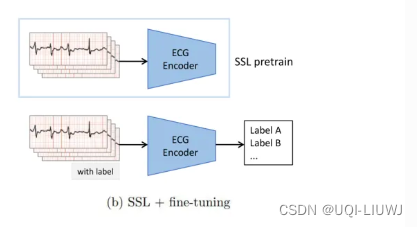 论文笔记：Frozen Language Model Helps ECG Zero-Shot Learning插图(1)