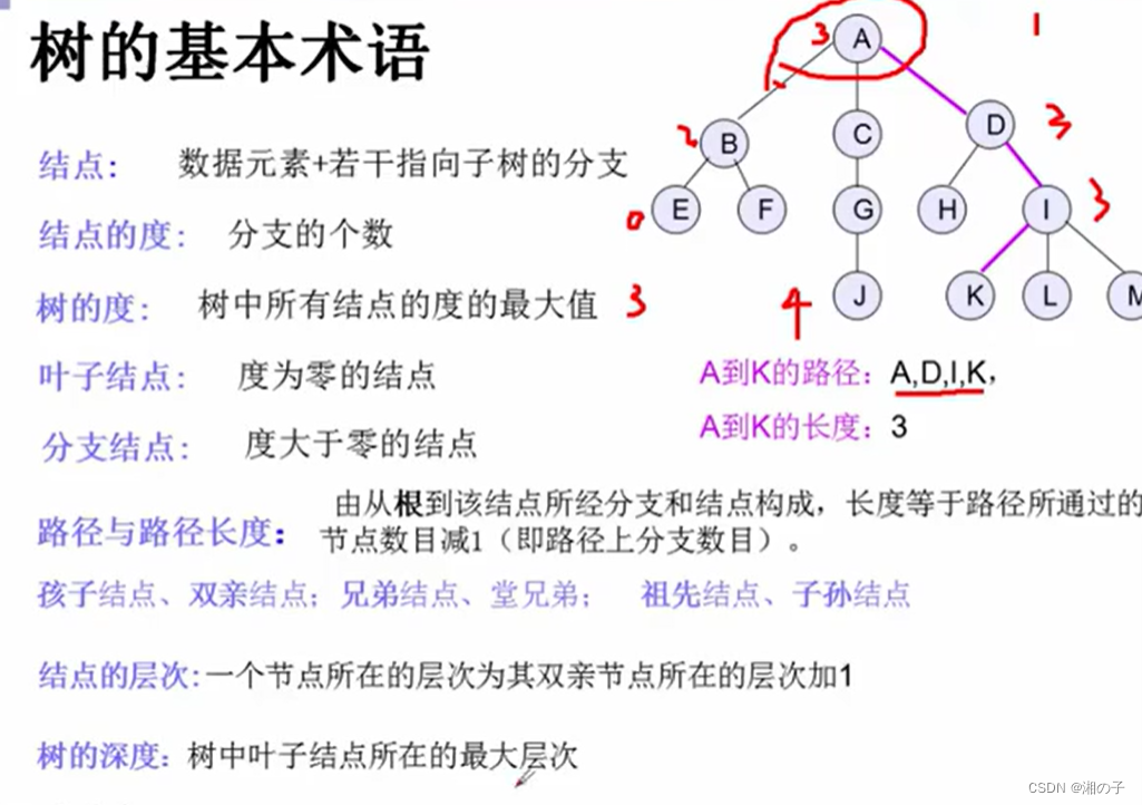 数据结构–第七章–树和二叉树插图(2)