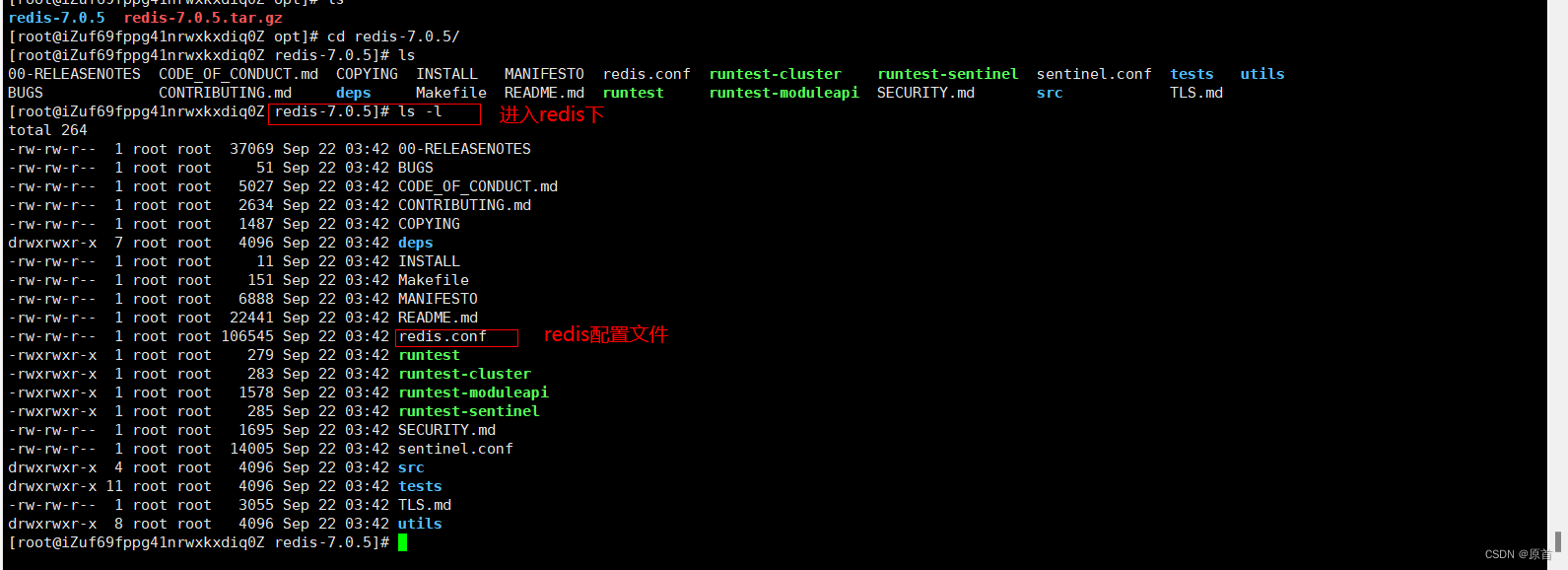 Redis基础——1、Linux下安装Redis（超详细）插图(6)