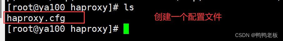 Java17 — RabbitMQ搭建集群插图(1)