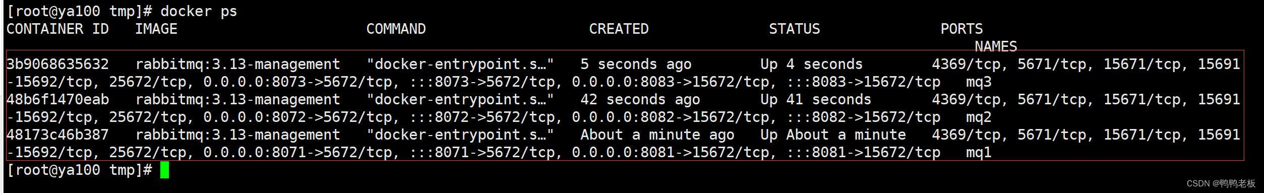 Java17 — RabbitMQ搭建集群插图