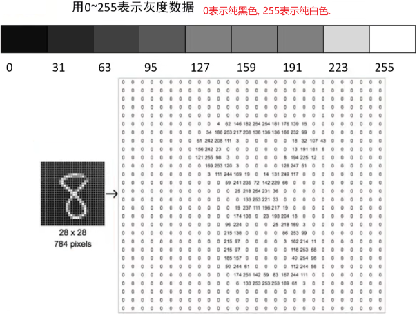 计算机的存储规则插图(4)