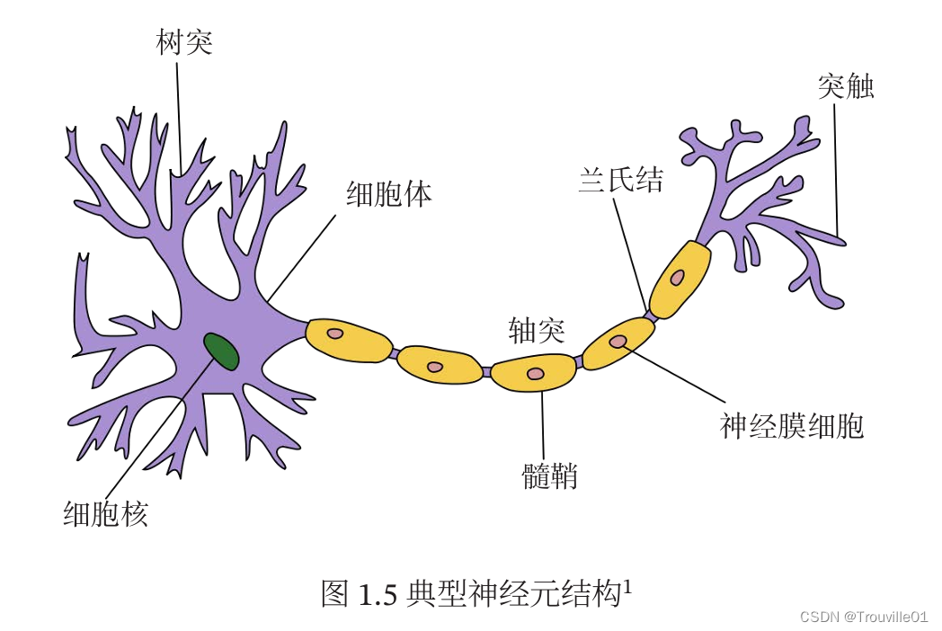 1. 人工智能中的相关术语的概述插图(4)