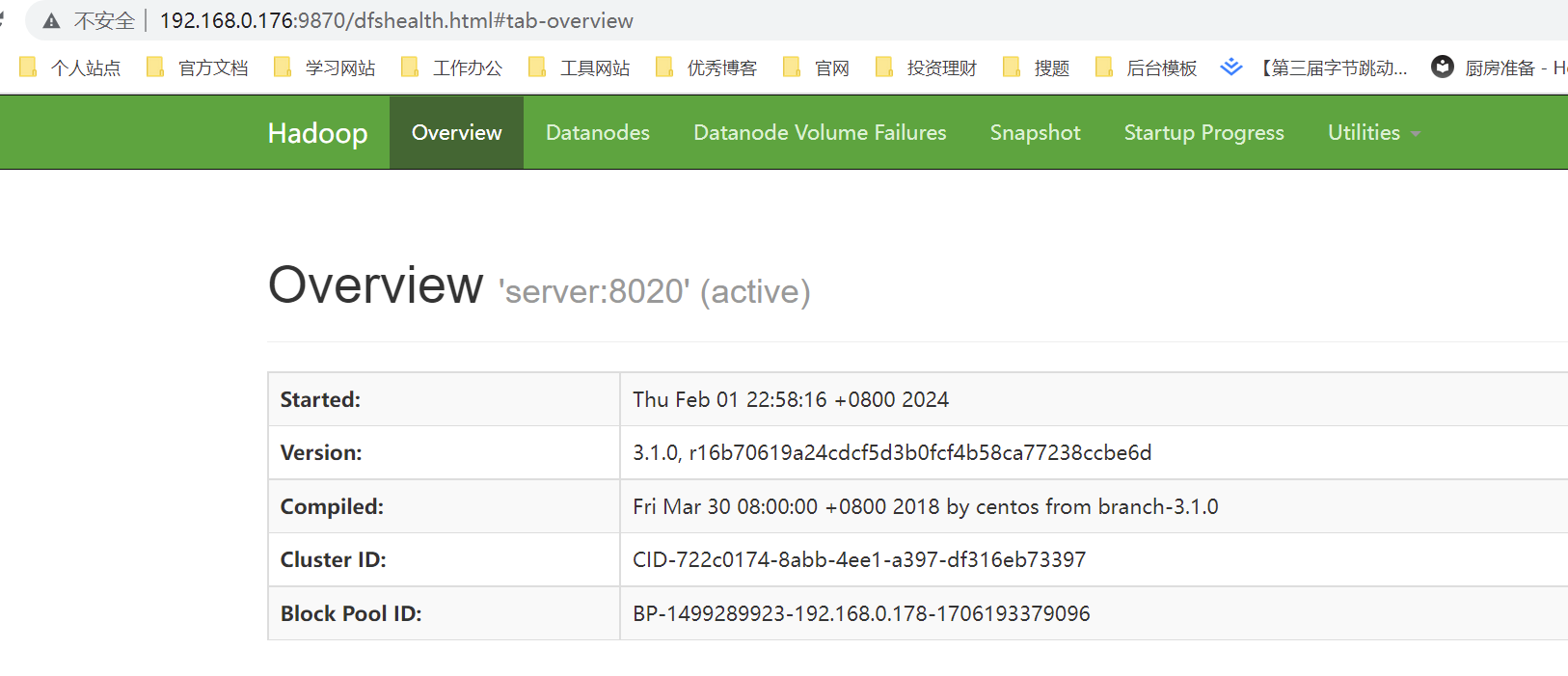 大数据实训项目(小麦种子)-03、大数据环境Hadoop、Mapreduce、Hive、Hbase、HDFS搭建服务及调试插图(7)