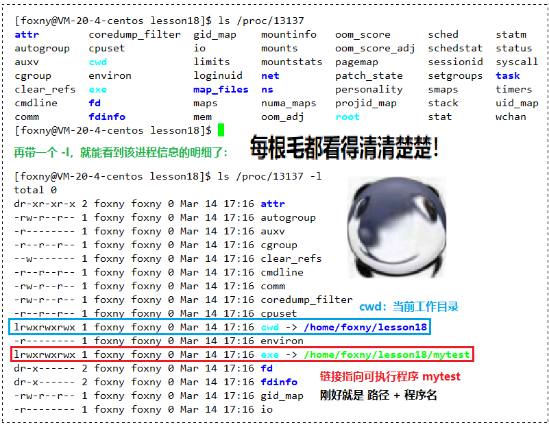 【看表情包学Linux】系统下的文件操作 | 文件系统接口 | 系统调用与封装 | open,write,close 接口 | 系统传递标记位 O_RDWR,O_RDONLY,O_WRONLY…插图(15)