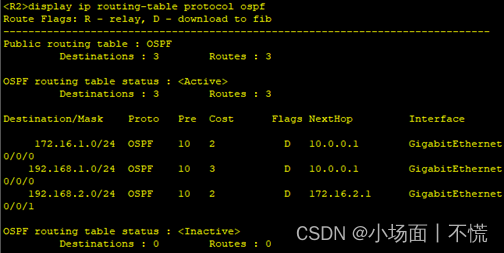 实验11 OSPF协议配置插图(10)