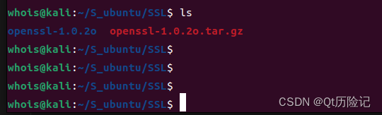 ubuntu20.04 安装OpenSSL 1.0.2o （借助腾讯AI完全OK）插图