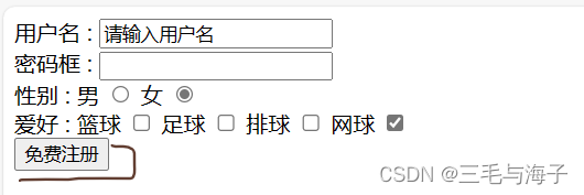 前端 — 基础 表单标签 – input type属性（按钮篇- submit,reset,button,file）插图(3)