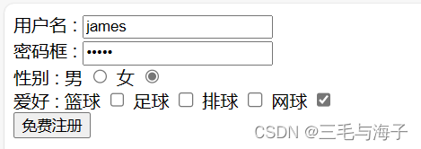 前端 — 基础 表单标签 – input type属性（按钮篇- submit,reset,button,file）插图(5)