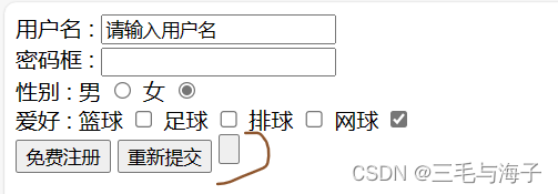 前端 — 基础 表单标签 – input type属性（按钮篇- submit,reset,button,file）插图(13)