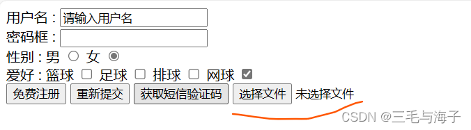 前端 — 基础 表单标签 – input type属性（按钮篇- submit,reset,button,file）插图(17)