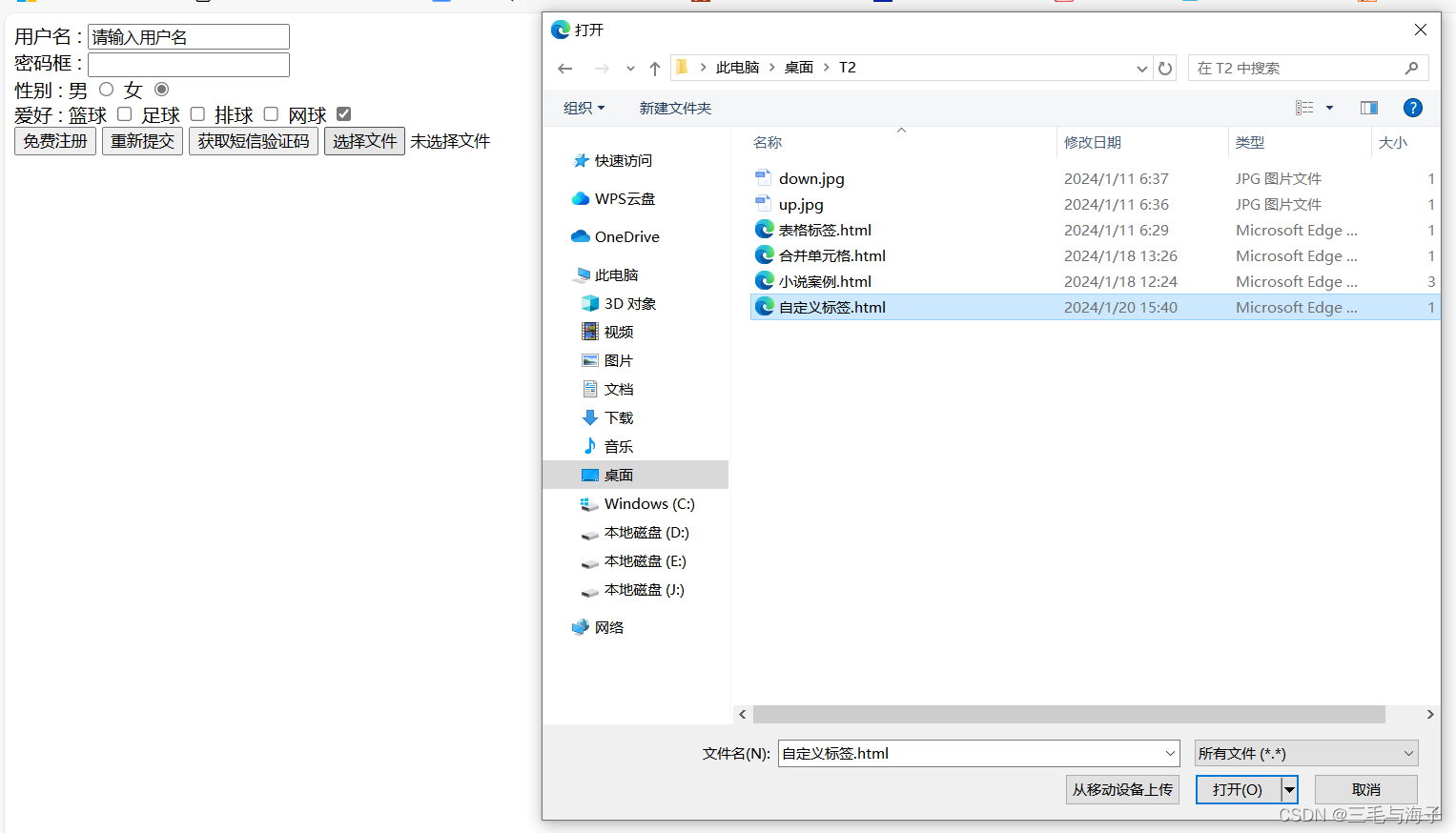 前端 — 基础 表单标签 – input type属性（按钮篇- submit,reset,button,file）插图(18)