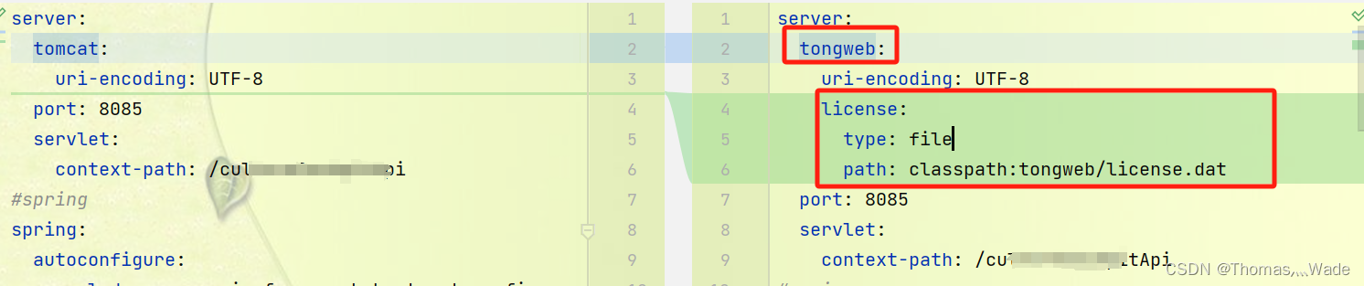 springboot2集成东方通tongweb嵌入式版插图(2)