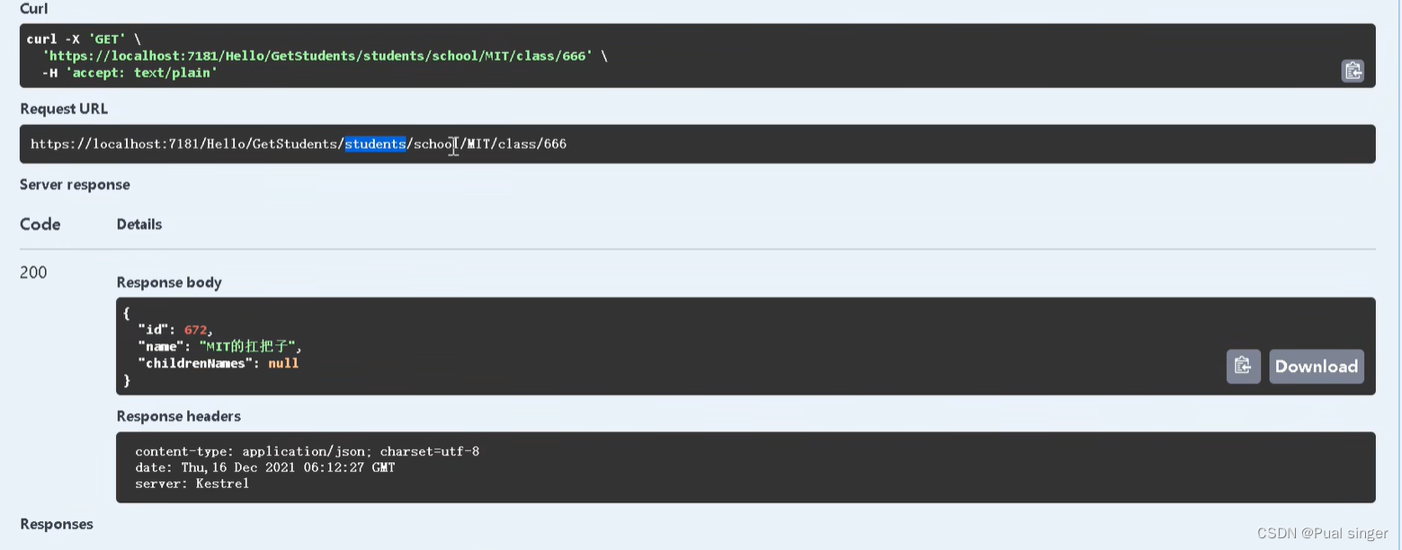 杨中科 ASP.NETCore WebAPI 控制器及返回值、参数问题插图(19)