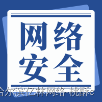 “网络战时代的国家安全：策略、技术和国际合作“插图