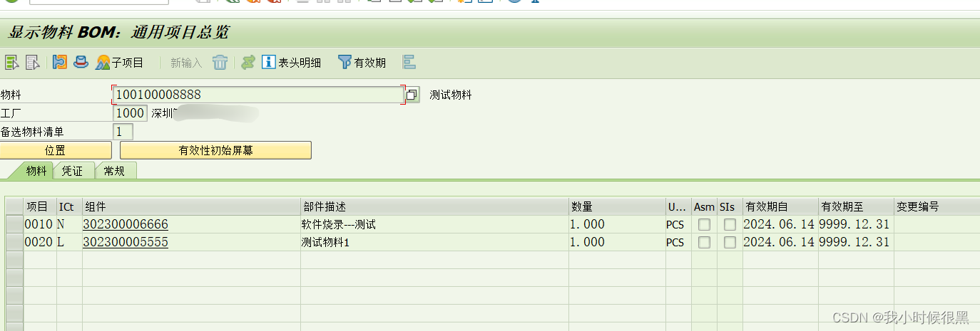 SAP BOM项目类别N非库存项目简介插图