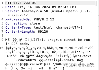 PHP CGI Windows平台远程代码执行漏洞(CVE-2024-4577)复现插图(3)