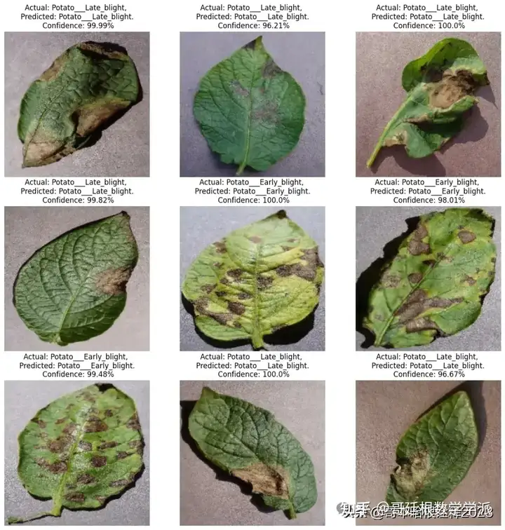 基于可解释性深度学习的马铃薯叶病害检测插图(13)