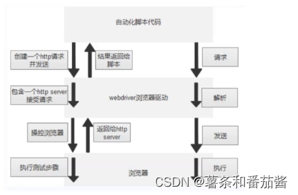 保姆级自动化测试教程(Selenium+java）插图