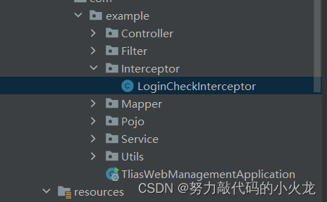 JWT令牌、过滤器Filter、拦截器Interceptor插图(9)