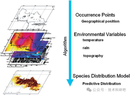基于R语言BIOMOD2 及机器学习方法的物种分布模拟与案例分析插图(1)
