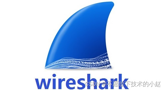 抓包工具 Wireshark 的下载、安装、使用、快捷键插图