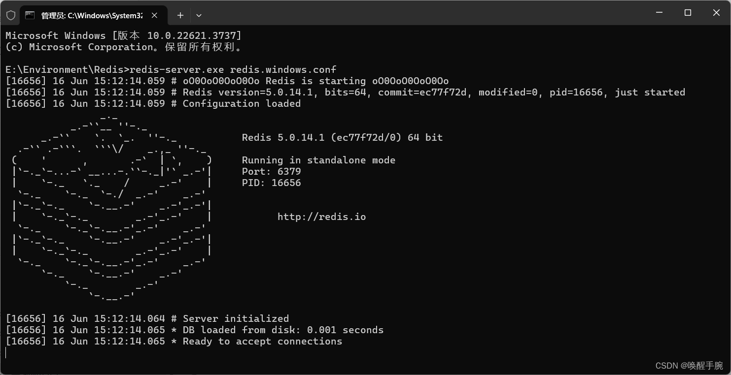 2024 年最新 windows 操作系统部署安装 redis 数据库详细教程（更新中）插图(4)