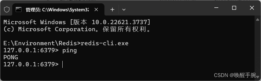 2024 年最新 windows 操作系统部署安装 redis 数据库详细教程（更新中）插图(6)