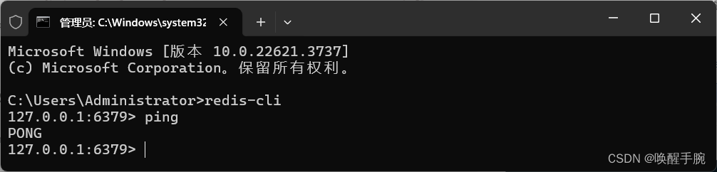 2024 年最新 windows 操作系统部署安装 redis 数据库详细教程（更新中）插图(8)