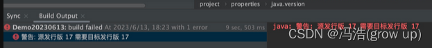 java问题解决： IDEA java 警告 源发行版 17 需要目标发行版 17插图