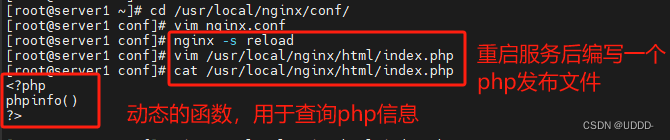 企业化运维(3)_PHP、nginx结合php-fpm、memcache、openresty、goaccess日志可视化插图(16)