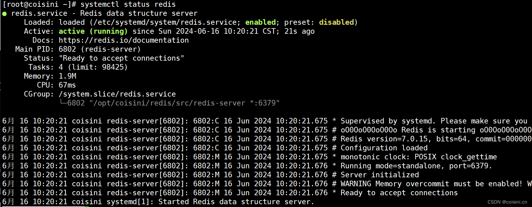 基于CentOS Stream 9平台 安装/卸载 Redis7.0.15插图(5)