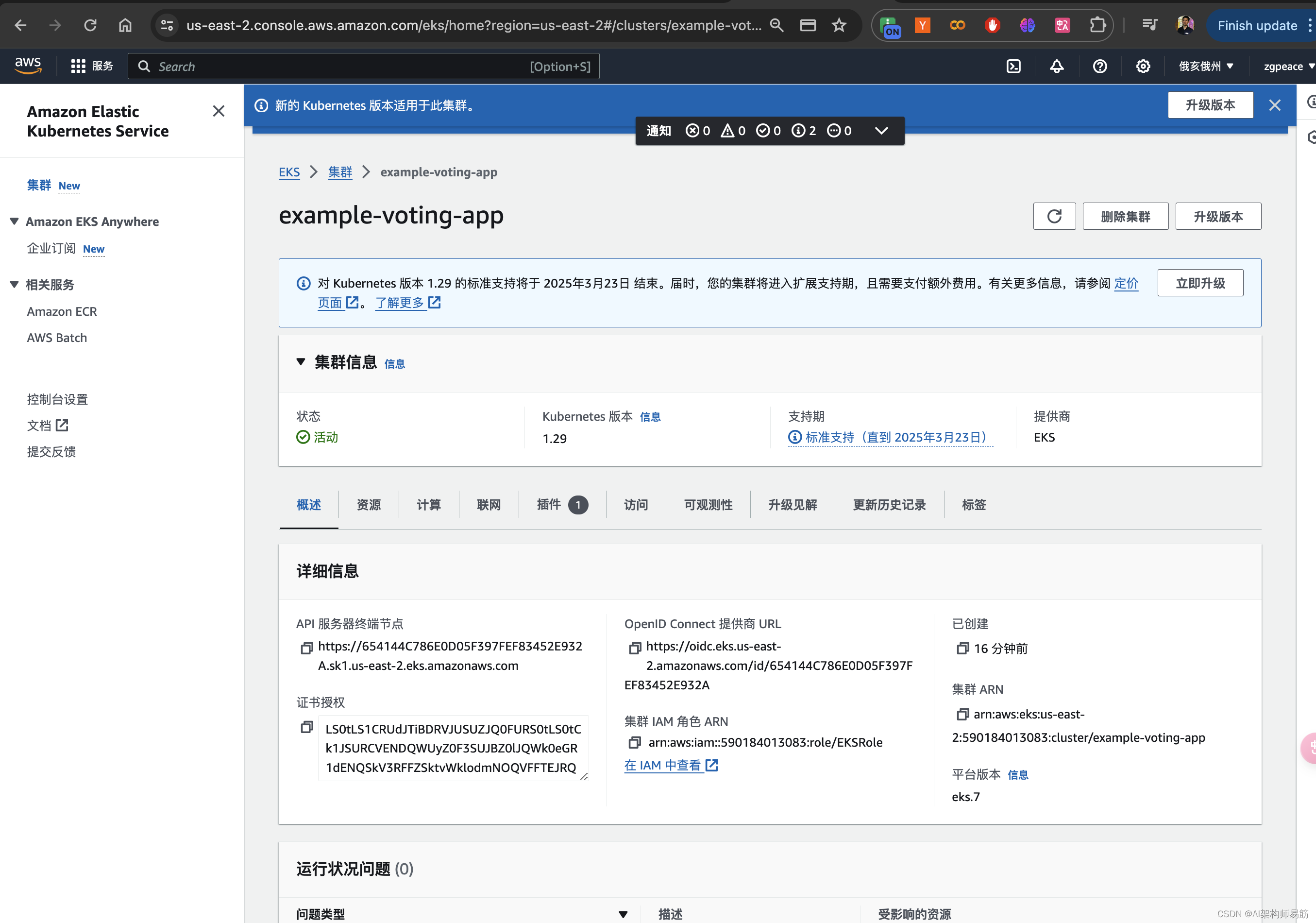 在AWS上运行的EKS Elastic Kubernetes Service 创建集群Cluster，Node group, Nodes插图(13)