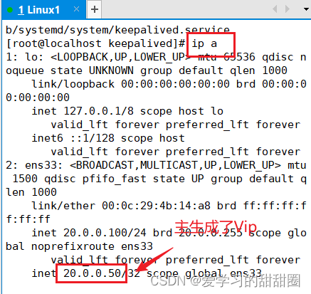 LVS+keepalived群集插图(10)