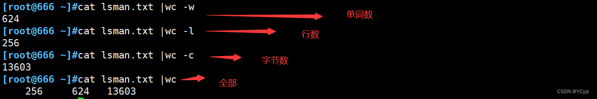 云计算【第一阶段（14）】Linux的目录和结构插图(7)